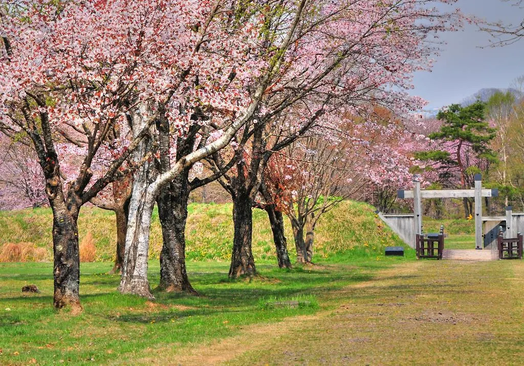 Hotel Izumi Shiraoi 3*,  Japan
